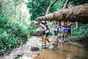 BIB: 
                            <button type="button" onclick="openModal(25373344)" class="btn btn-primary btn-sm float-right btn-popup" data-toggle="modal" data-target=".modal-high-quality">
                        <i class="fas fa-shopping-cart"></i> Add to Cart
                    </button>
                                            <button type="button" onclick="isThisMe(25373344, true)" class="btn btn-success btn-sm float-right btn-popup btn-isme hidden" data-toggle="tooltip" data-placement="bottom" title="นี่คือรูปของคุณใช่ไหม คลิกที่นี่เพื่อเอาเข้าอัลบั้ม">
                        <i class="fas fa-plus"></i> Add to album
                    </button>
                    <button type="button" onclick="isThisMe(25373344, false)" class="btn btn-warning btn-sm float-right btn-popup btn-isnotme hidden">
                        <i class="fas fa-ban"></i> Remove from album
                    </button>